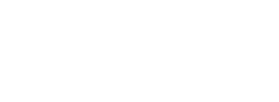 Oracle NetSuite Logo